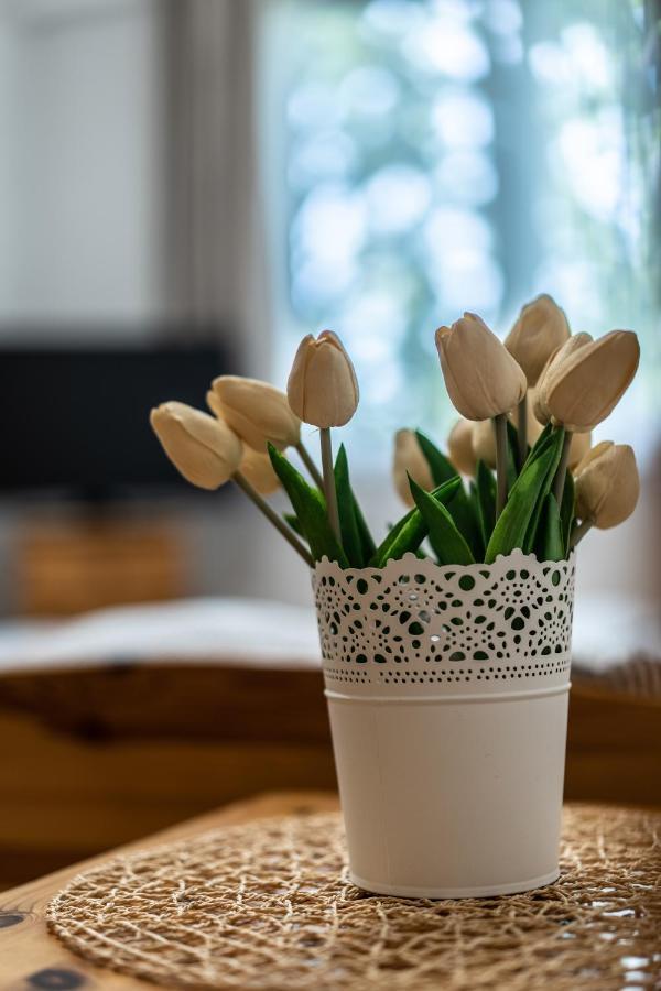 Your Apartment Makó Екстериор снимка